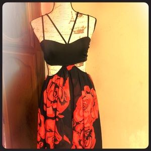 Spanish Rose gown